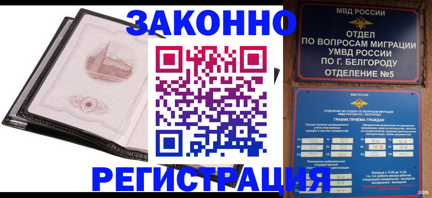 прописка штамп в Дубне